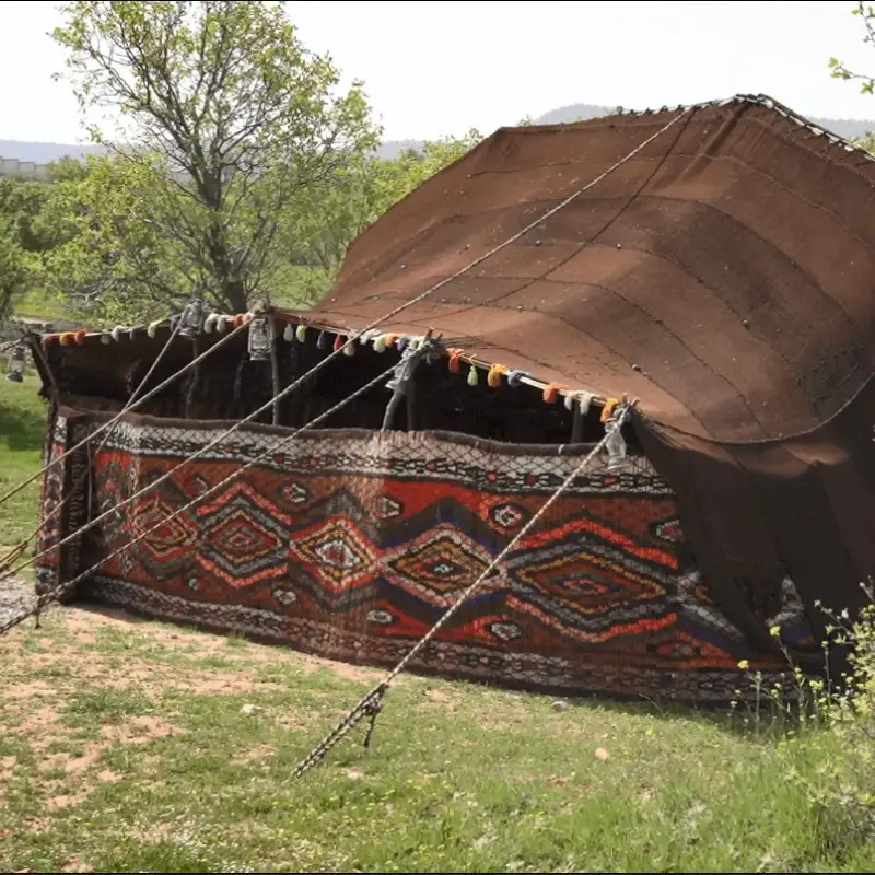 سیاه چادر