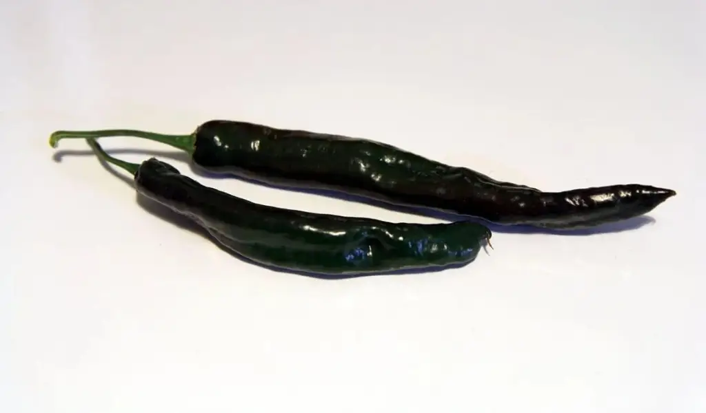 فلفل چیلاکا (Chilaca pepper)