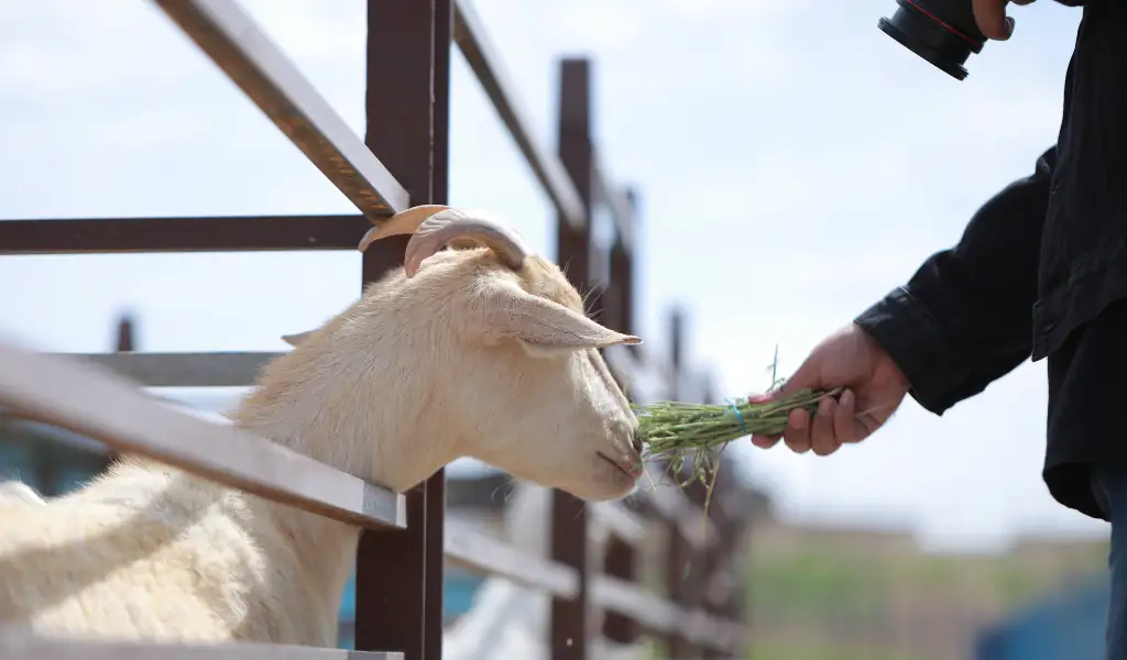 انواع فعالیت‌ها و تجربیات