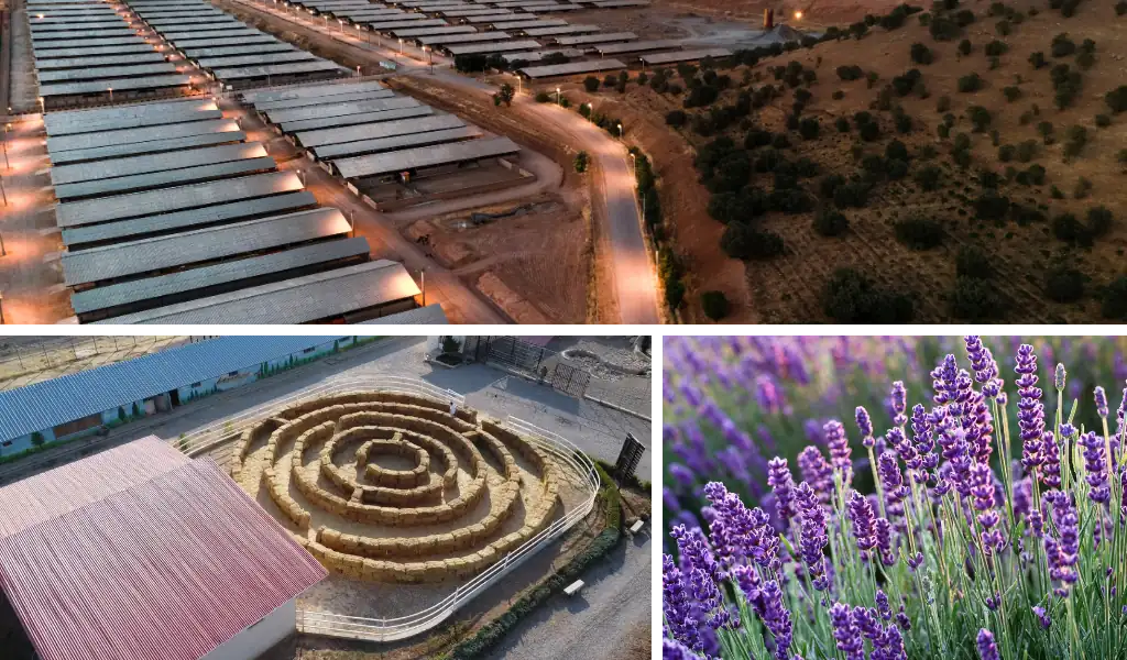 مزرعه گردشگری؛ بازگشت به طبیعت و اصالت در سفر