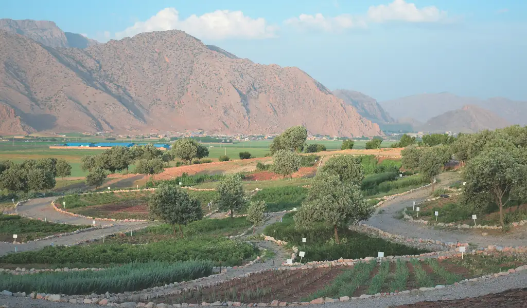 راهنمای تور گردشگری خانوادگی در مزرعه فارمرز