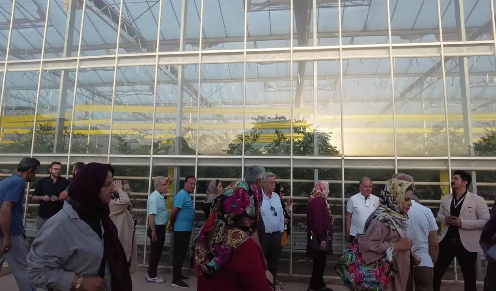 فعالیت‌های تعاملی و جذاب برای تمام اعضای خانواده