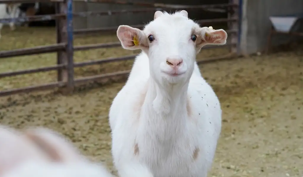 خلق خاطراتی ماندگار 