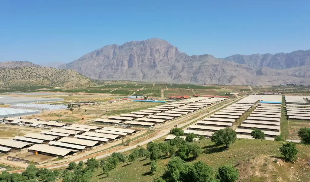 محیطی امن و وسیع برای تخلیه انرژی کودکان