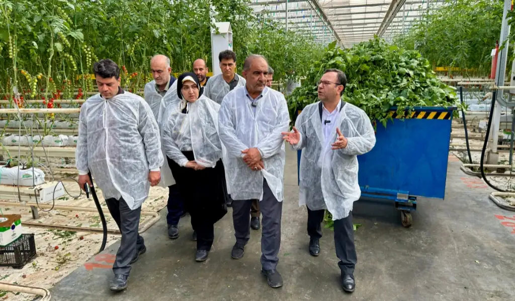 حمایت قاطع مجلس از سرمایهگذاران بخش خصوصی