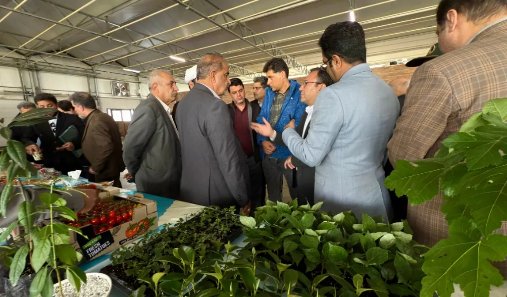 حمایت قاطع مجلس از سرمایهگذاران بخش خصوصی