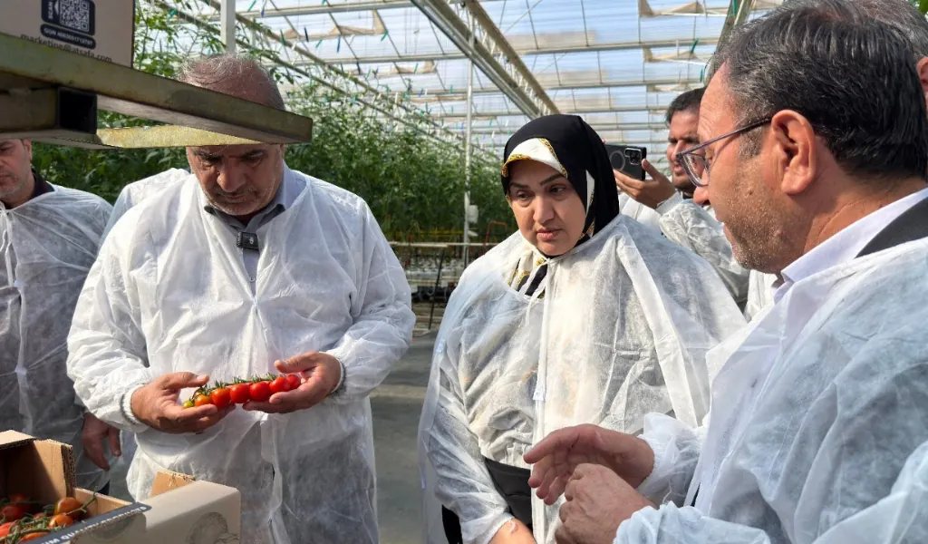 حمایت قاطع مجلس از سرمایهگذاران بخش خصوصی