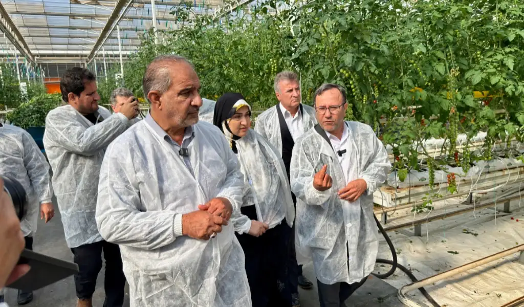 حمایت قاطع مجلس از سرمایهگذاران بخش خصوصی