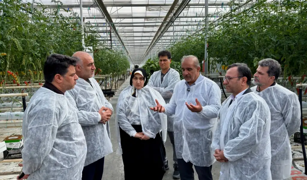 حمایت قاطع مجلس از سرمایهگذاران بخش خصوصی