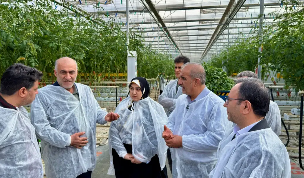 حمایت قاطع مجلس از سرمایهگذاران بخش خصوصی