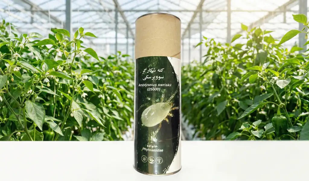 نحوه و زمان رهاسازی کنه سویرسکی