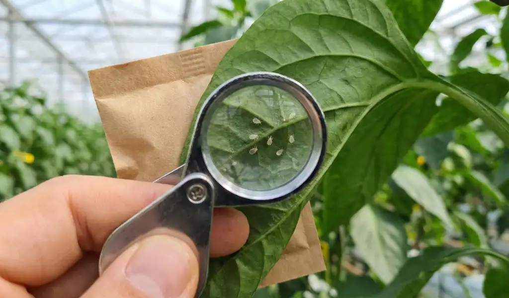 عبور از کشاورزی سنتی به کشاورزی پایدار