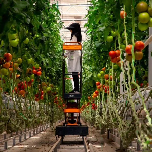 FARMERZ​ معرفی شرکت کشت و صنعت و گردشگری فجر صفا لرستان